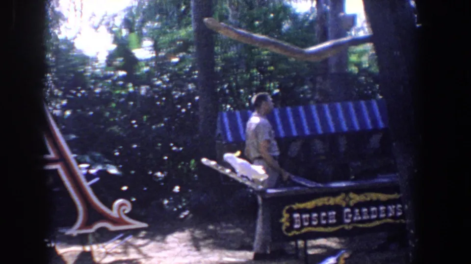 Visitor-shot 1958 Florida footage frame with a cockatoo on a stand and a handler beside the Busch Gardens show platform.