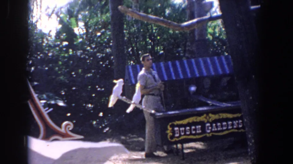 1958 Florida home-movie frame with an adult man facing camera near two white cockatoos at a Busch Gardens garden station.