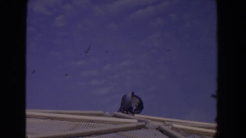 1958 Florida 8mm frame showing a pelican-like bird from behind on an enclosure edge, set against blue sky and faint clouds.