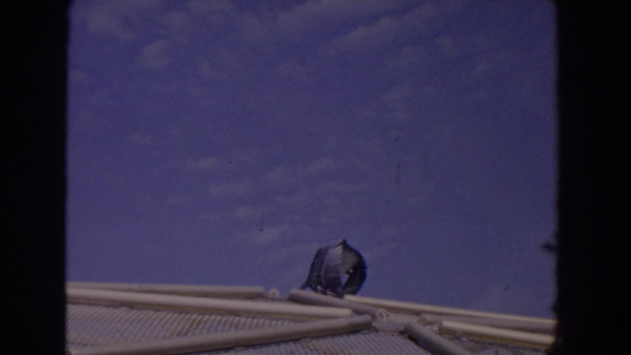 Pelican perched on a mesh structure beneath blue sky with dark film borders.