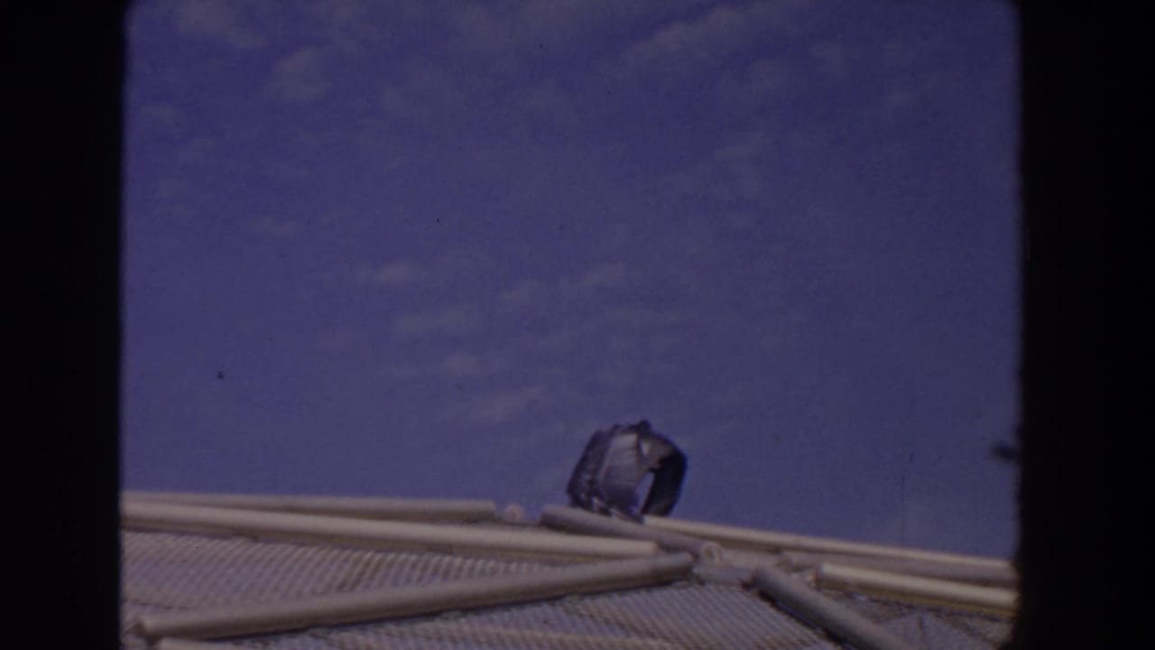 Pelican remains on the mesh structure with rails and blue sky behind it.