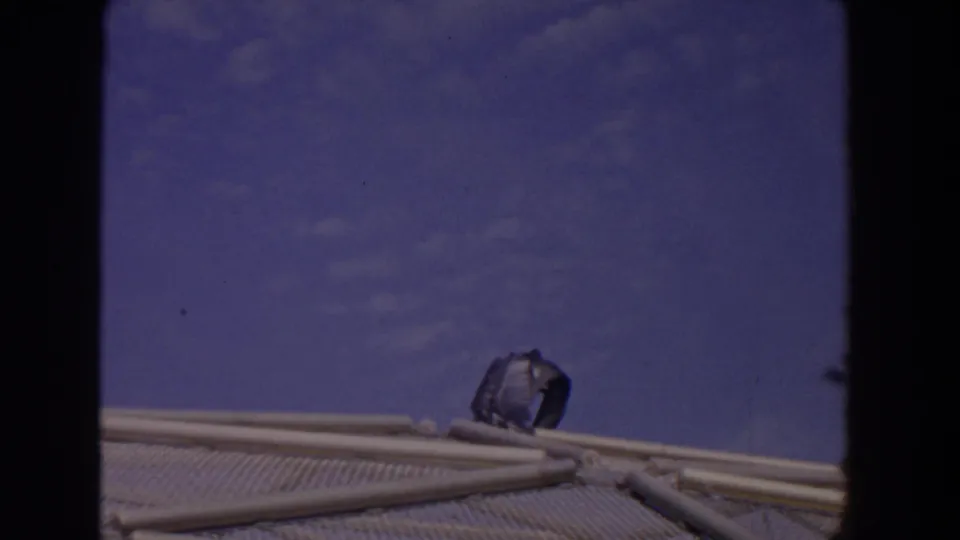 1958 Florida home-movie frame of a pelican perched near pale rails on a mesh surface against blue sky.