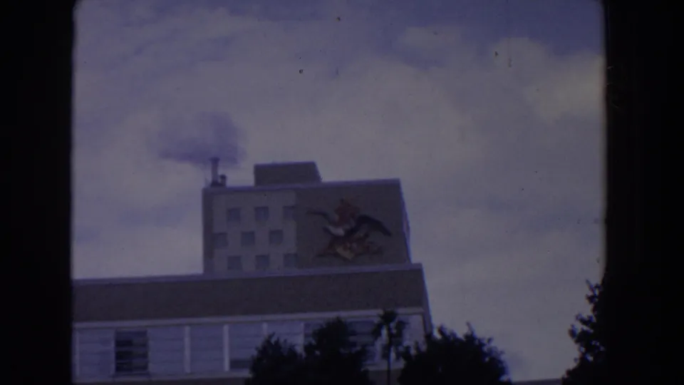 1958 Florida 8mm frame of a building facade with chimney smoke, a bird mural, cloudy sky, and dark foliage at the lower edge.