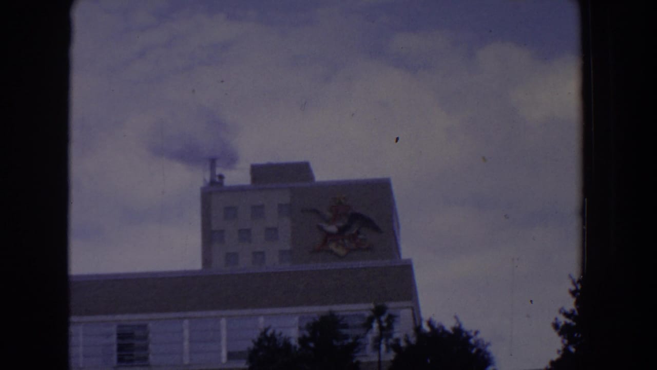 Anheuser-Busch building facade with eagle logo, chimney smoke, cloudy sky, and dark trees.