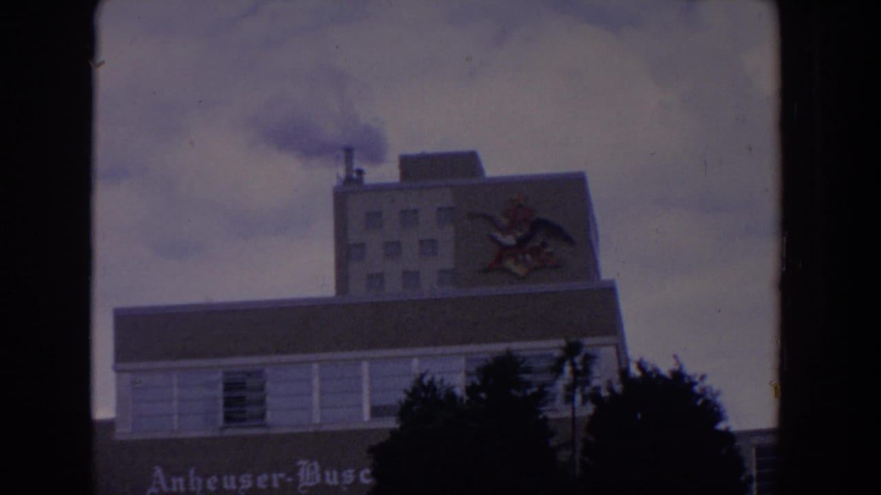 1958 Florida 8mm frame showing the Anheuser-Busch building front, visible eagle emblem, smoke plume, and trees along the lower edge.