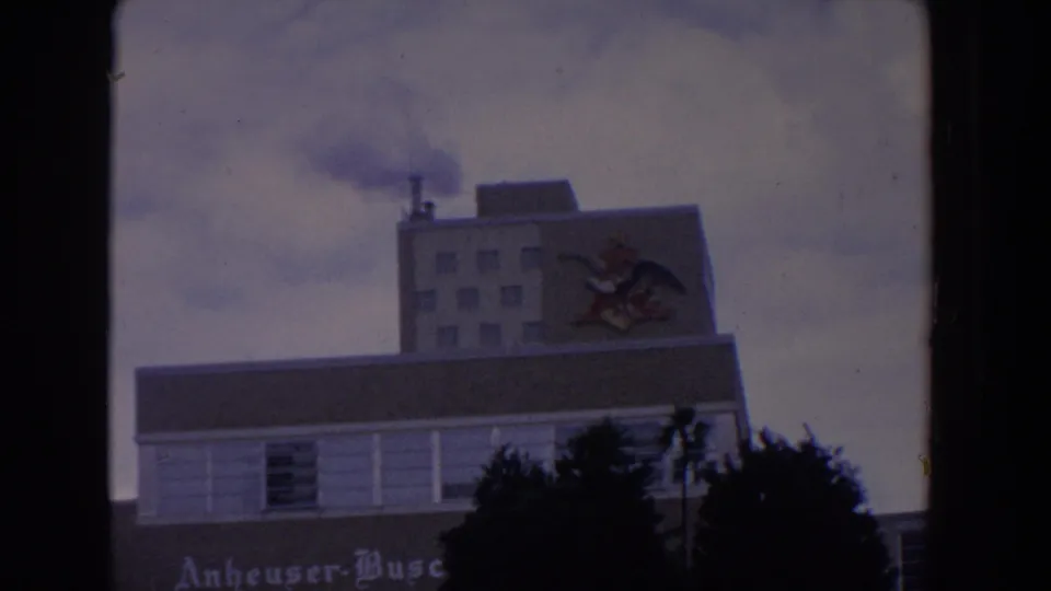 1958 Florida 8mm frame showing the Anheuser-Busch building front, visible eagle emblem, smoke plume, and trees along the lower edge.
