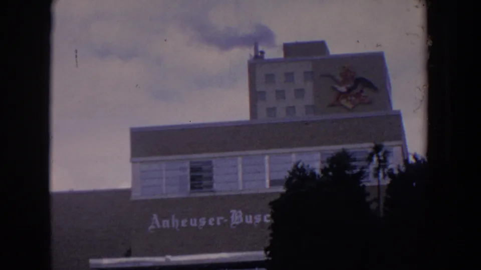 1958 Florida 8mm frame of the Anheuser-Busch plant front with readable lettering, eagle logo, chimney smoke, palms, and dark trees.