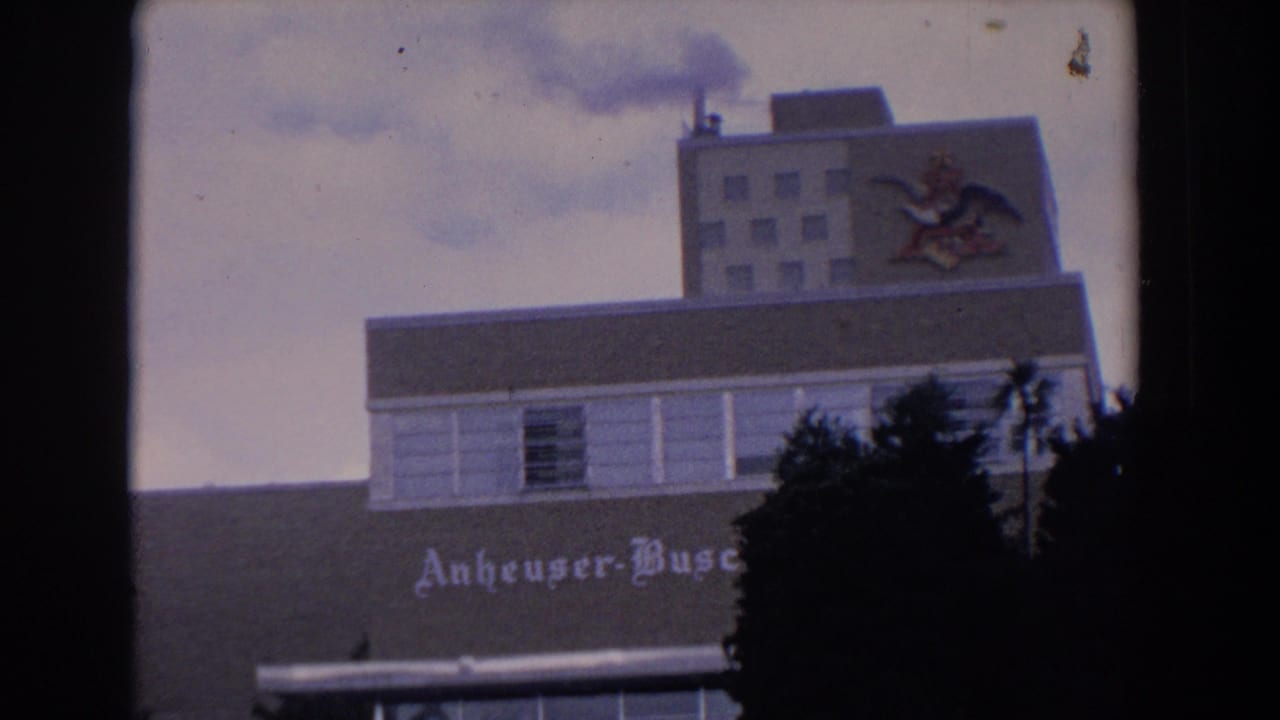 1958 Florida 8mm frame showing the Anheuser-Busch building facade, upper logo panel, palm trees, and soft cloudy sky.