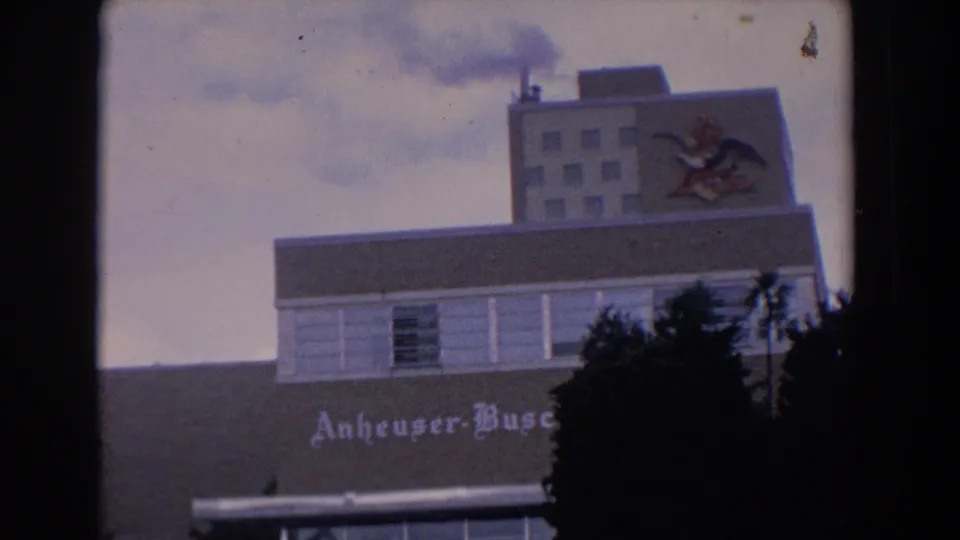 1958 Florida 8mm frame showing the Anheuser-Busch building facade, upper logo panel, palm trees, and soft cloudy sky.