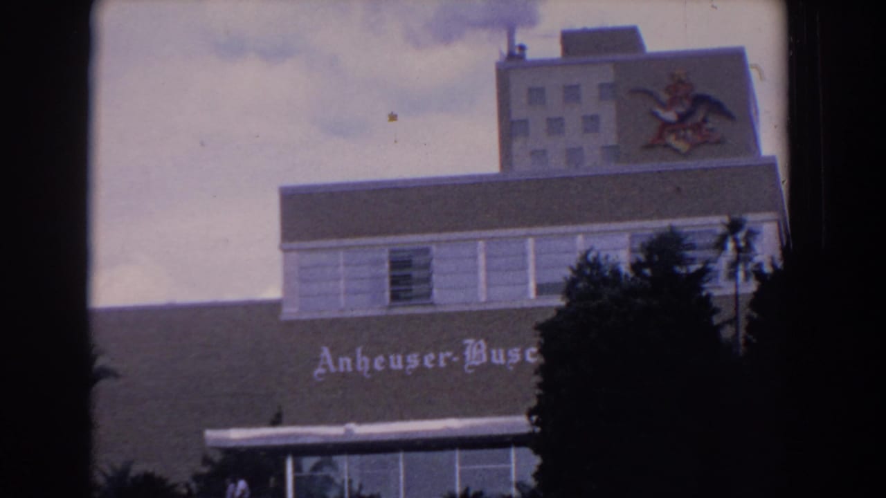 Building exterior with Anheuser-Busch lettering partly visible behind dark palm trees.
