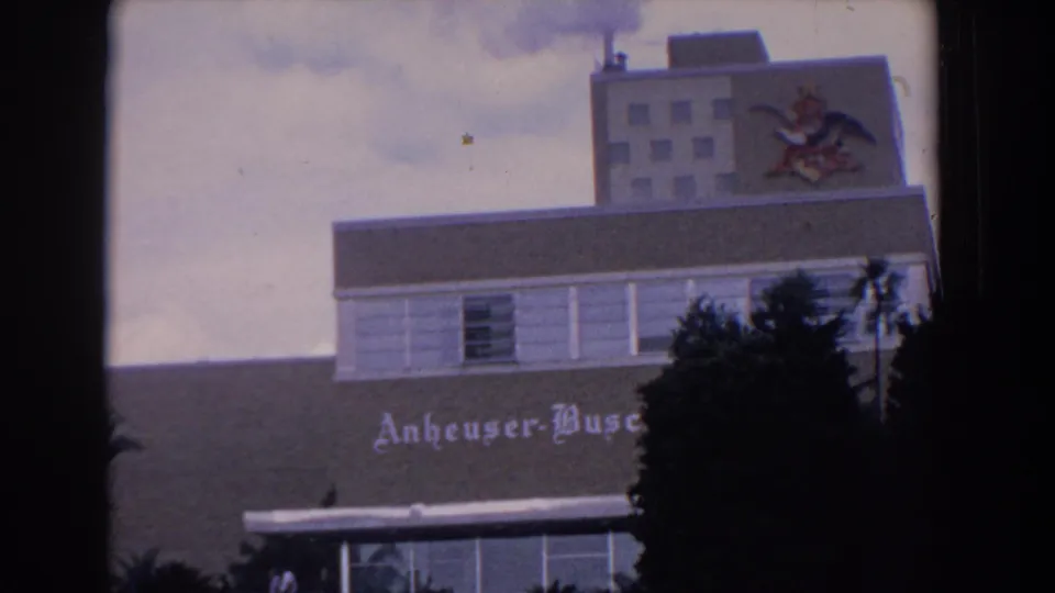 1958 Florida frame of the Anheuser-Busch exterior, with the wall lettering partly obscured by palm trees and a dark film edge.