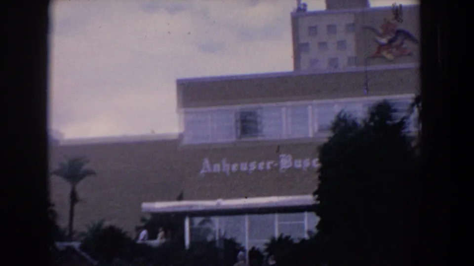 1958 Florida home-movie frame with Anheuser-Busch lettering, palm trees, windows, and tiny visitors near the entrance area.