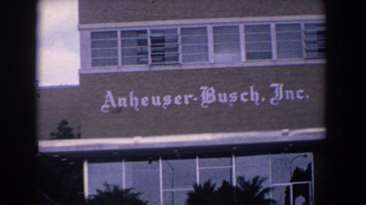 Anheuser-Busch, Inc. building sign with windows and palm fronds near the lower edge.