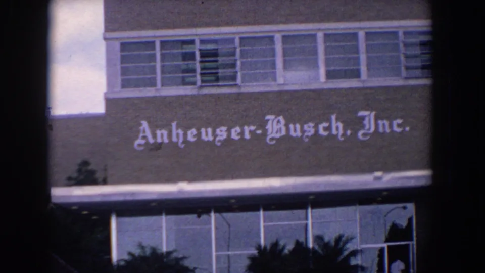 1958 Florida 8mm frame with Anheuser-Busch, Inc. lettering on a commercial building, glass windows, and palm foliage below.