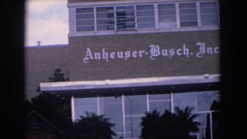 1958 Florida 8mm frame showing a closer view of the Anheuser-Busch, Inc. building sign, facade, windows, and palm trees.