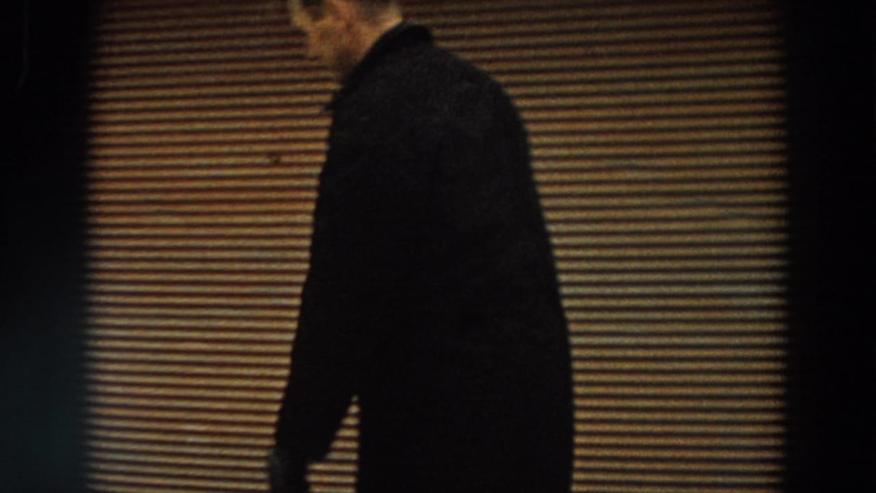 A man in a dark coat moves through a brighter area near horizontal blinds, likely at or just outside the house.