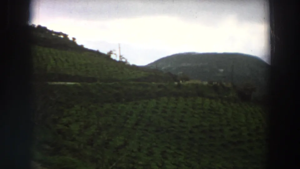 1958 Italy rural landscape frame with sloped farmland, dark foreground vegetation, and a distant mountain under cloud.