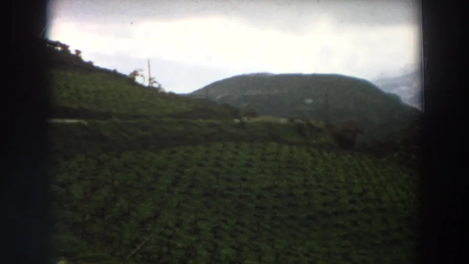 1958 8mm view of green agricultural rows on an Italian hillside, with dark frame edges, distant hills, and an overcast mountain backdrop.