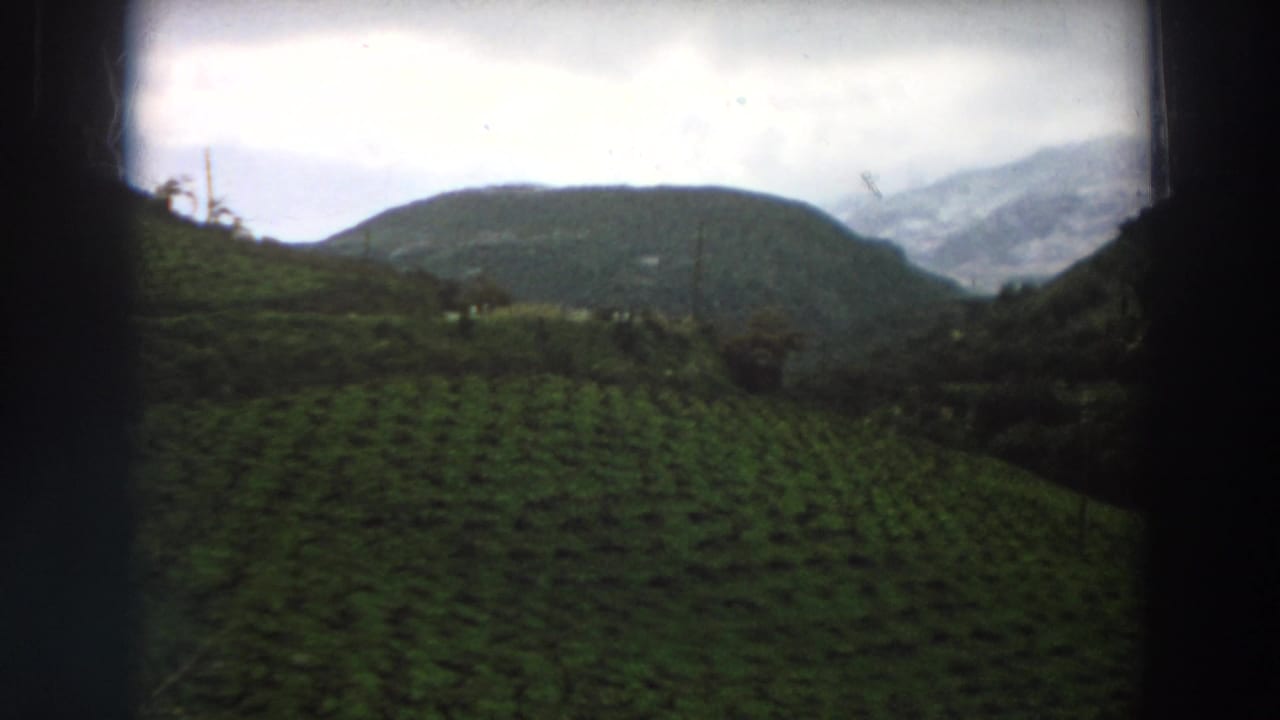 Italian countryside on 8mm film, showing planted rows across a green slope with a rounded hill and misty mountains in the background.
