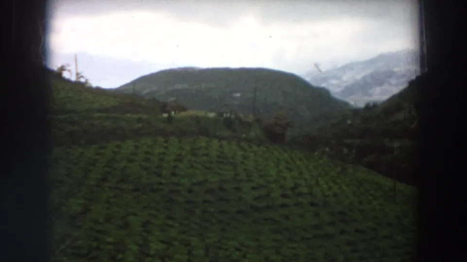 Italian countryside on 8mm film, showing planted rows across a green slope with a rounded hill and misty mountains in the background.