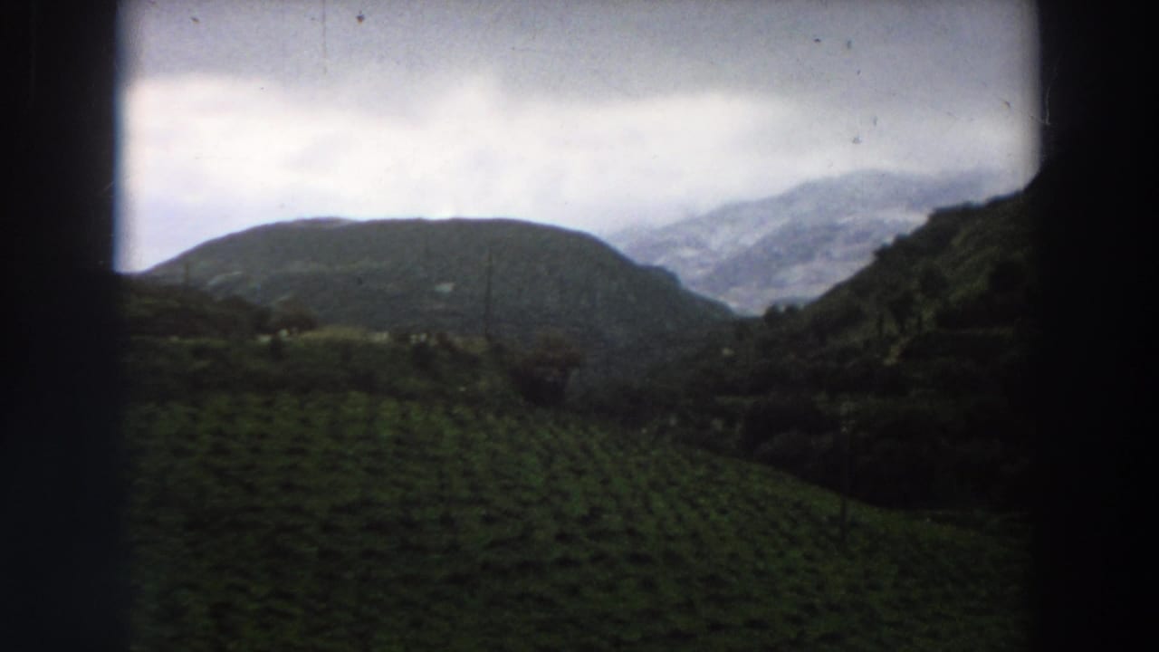 Wide 1958 home-movie view across Italian green fields toward a shadowed hillside and pale mountains partly obscured by cloud.