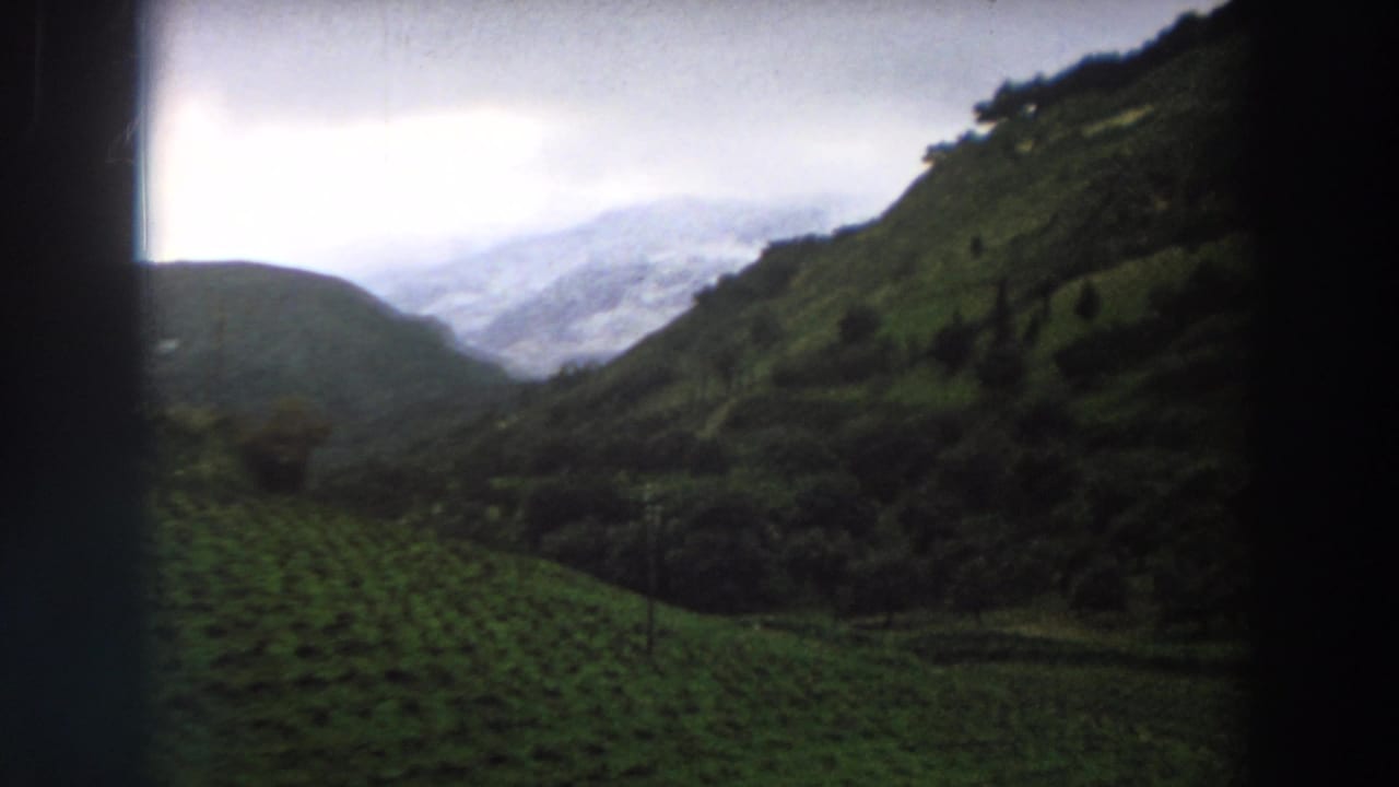 Home-movie view across an Italian vineyard hillside toward a misty valley and mountain ridge.