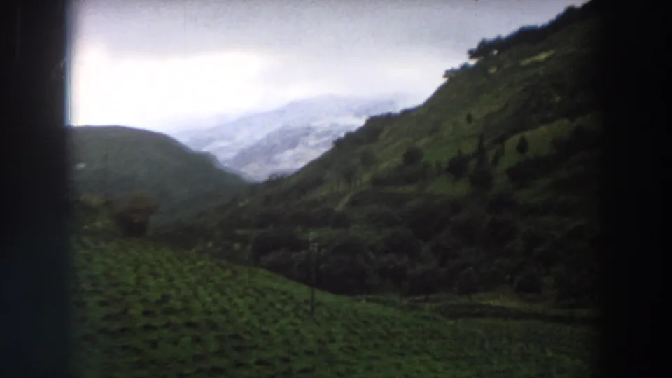 Home-movie view across an Italian vineyard hillside toward a misty valley and mountain ridge.