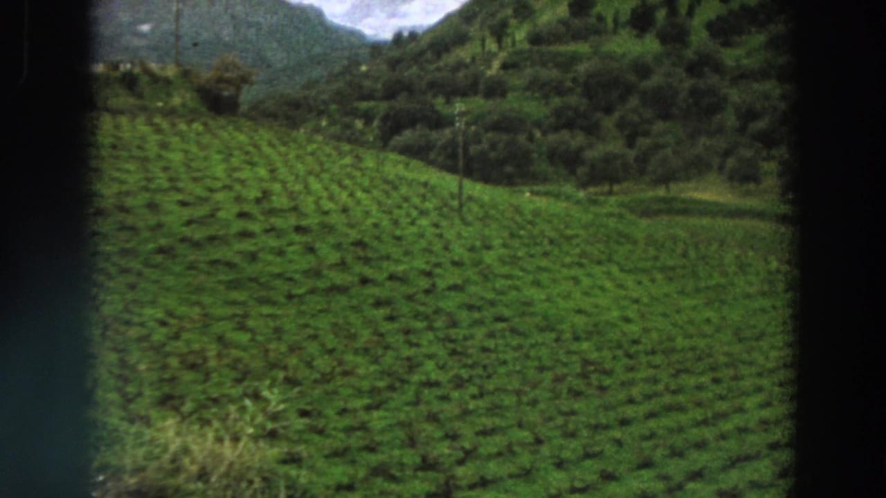 Italian countryside vineyard rows appear in closer view, with utility poles and wooded hills in the background.