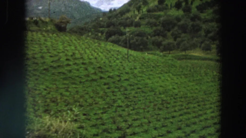 Italian countryside vineyard rows appear in closer view, with utility poles and wooded hills in the background.