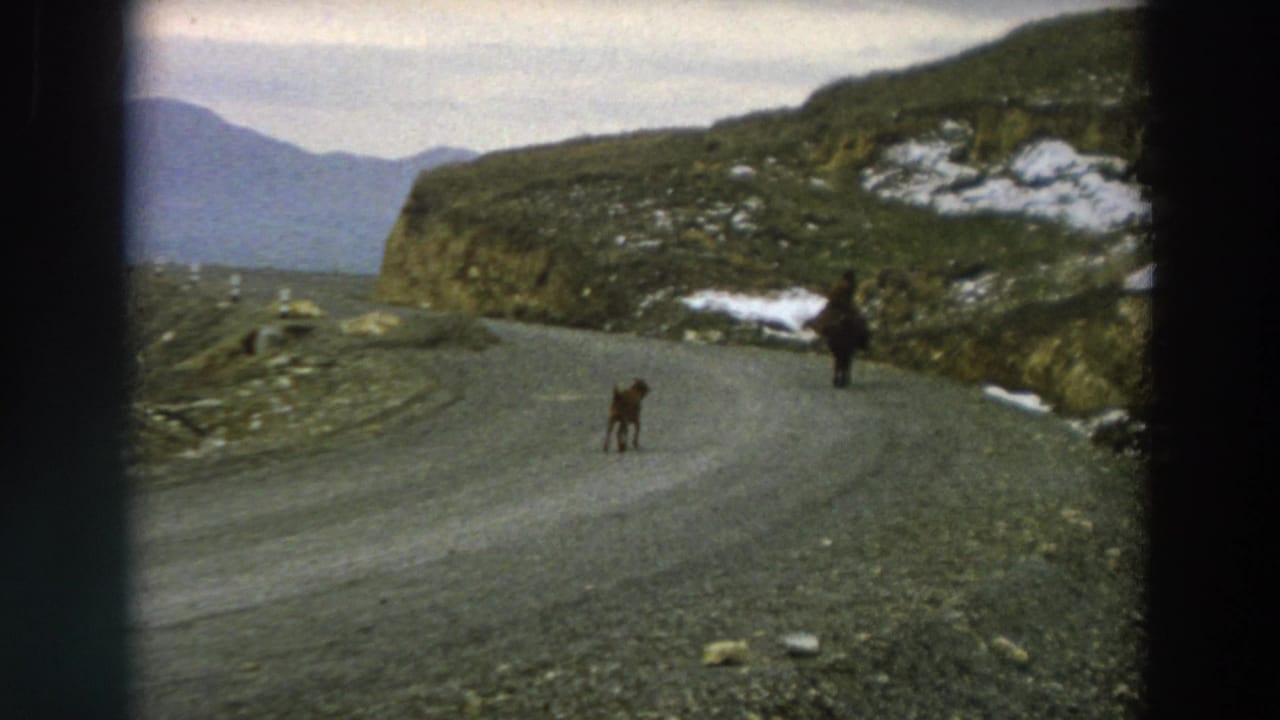 Horse rider and small animal continue around a bend in a mountain road.