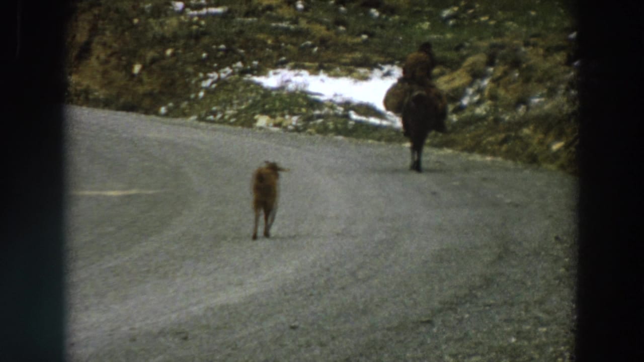 Late-frame 1958 Italy view of the small animal and horseback rider on a mountain road with snow patches along the slope.