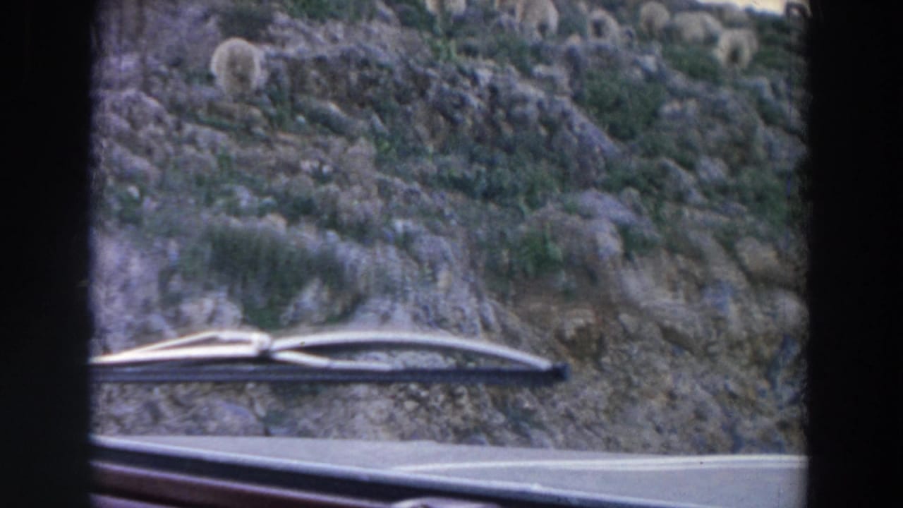 1958 Italy roadside frame with a windshield wiper in the foreground and sheep grazing on a rocky hillside beyond.