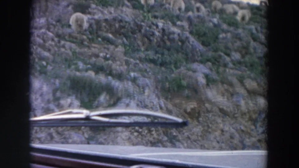 1958 Italy roadside frame with a windshield wiper in the foreground and sheep grazing on a rocky hillside beyond.