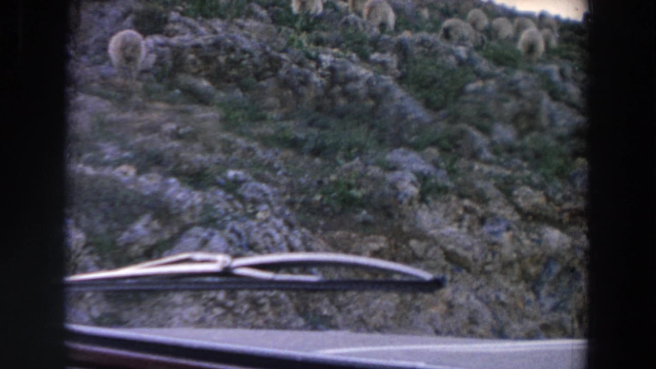 Rocky hillside with sheep seen through a vehicle windshield and wiper blade.