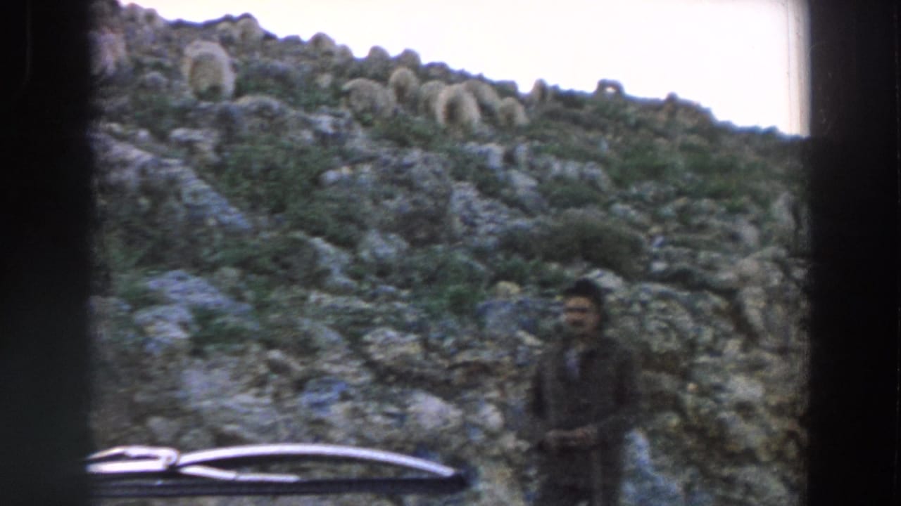 1958 Italy travel footage frame with a man on a rocky hillside, sheep higher on the slope, and the car wiper crossing the foreground.