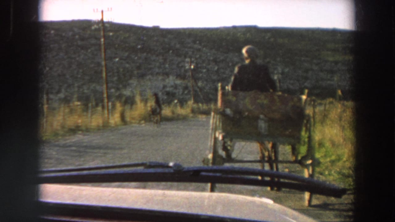 From inside a car in rural Italy, a horse-drawn buggy and rider appear ahead on a narrow road with hills and utility poles.
