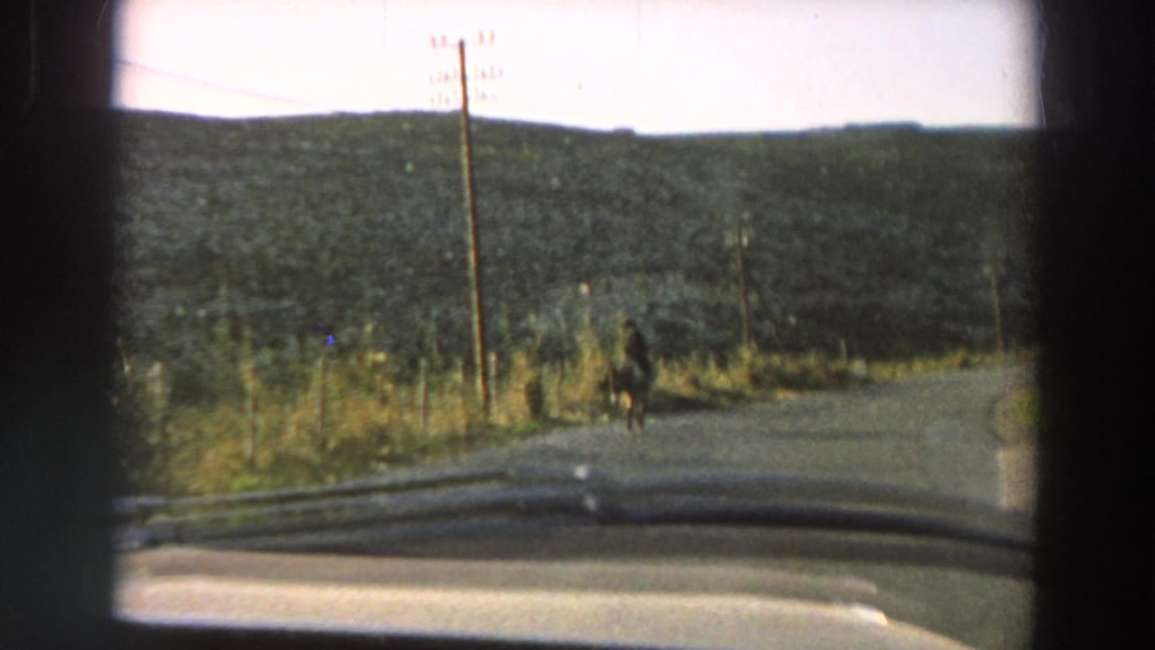 1958 home-movie frame from inside a car, showing a distant horse-drawn buggy on an Italian rural road with poles and hills.