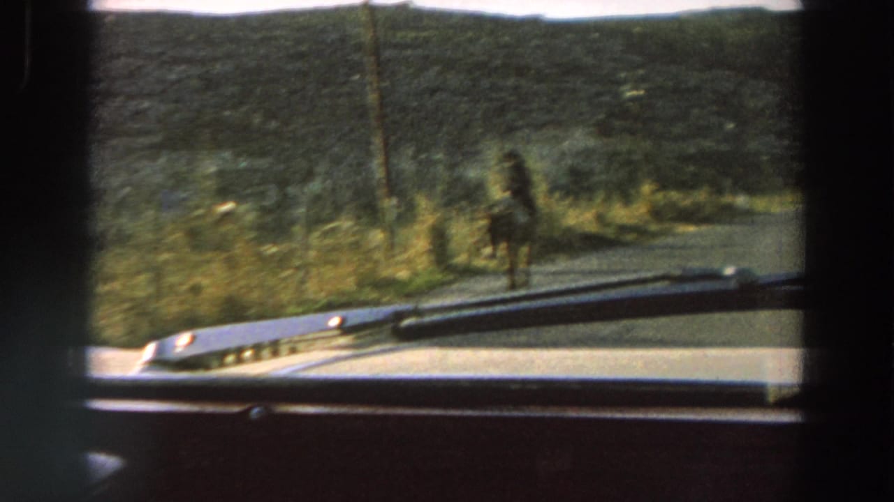 A car interior view shows a horse-drawn buggy near the roadside as the vehicle overtakes it on a rural Italian road.