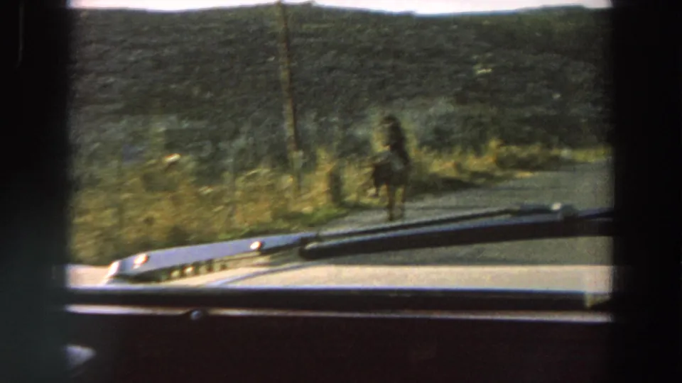 A car interior view shows a horse-drawn buggy near the roadside as the vehicle overtakes it on a rural Italian road.