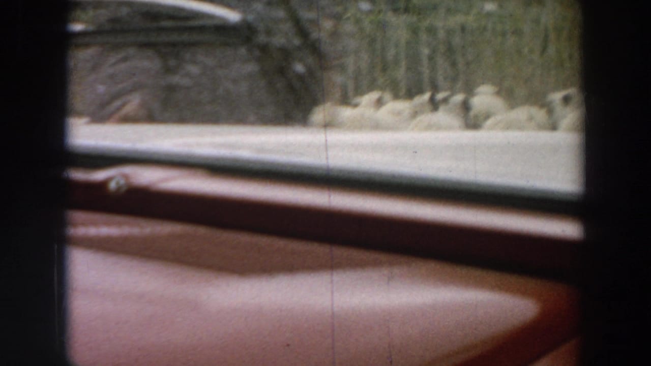 Passenger view from a red car in 1958 Italy, with the window frame crossing trees, rocks, and a pale roadside beyond.