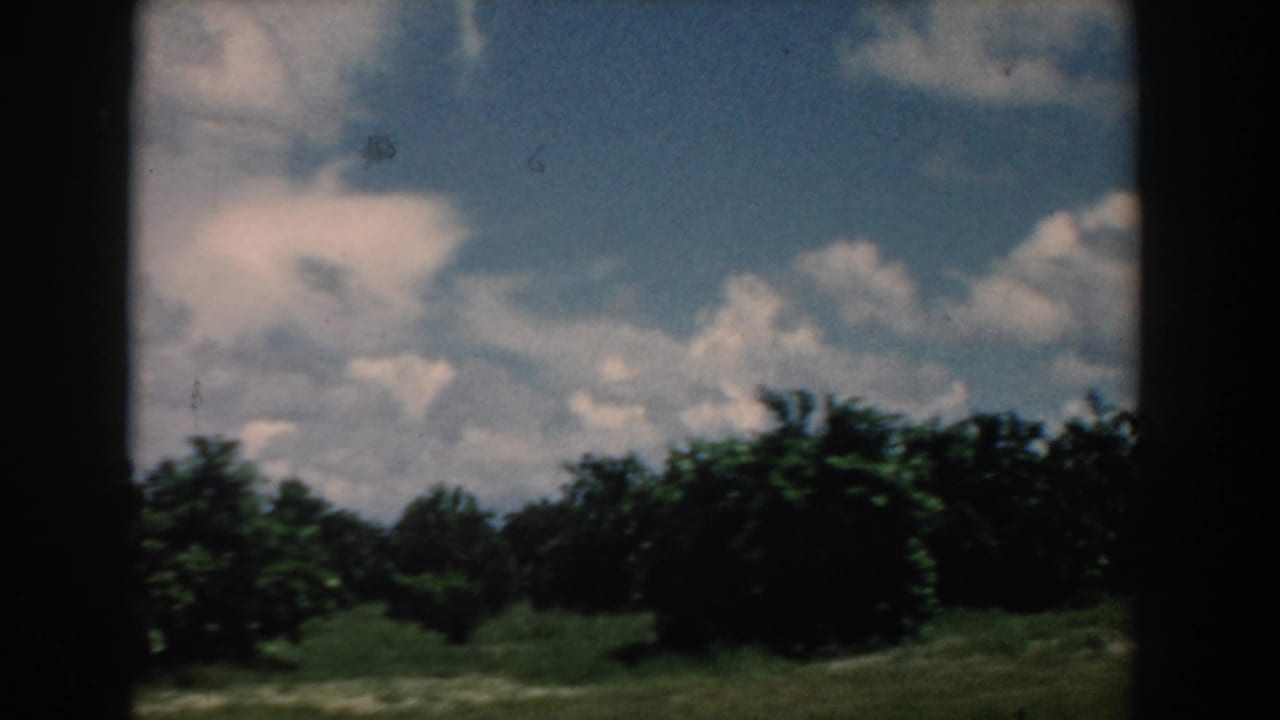 Passing view of green trees below a blue sky with white clouds.