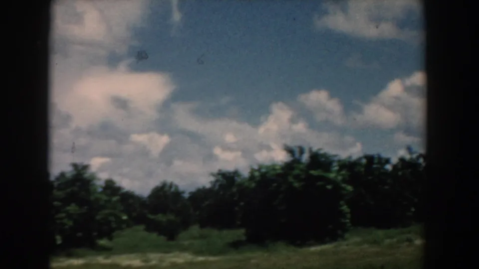 1958 South Carolina 8mm frame showing roadside trees, grassy ground, blue sky, and white clouds from a moving viewpoint.