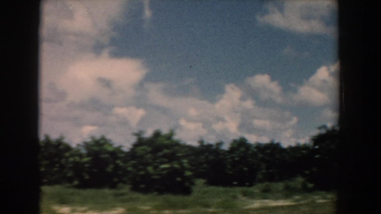 Tree line and grassy field seen under a bright cloudy sky.