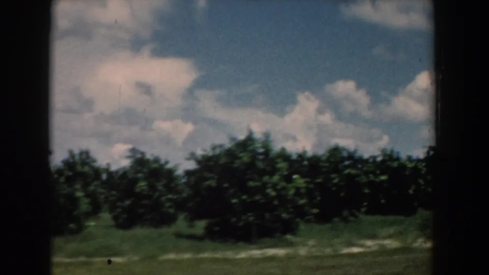 8mm frame from 1958 South Carolina showing motion-softened trees, grass, and a blue sky with pale clouds.