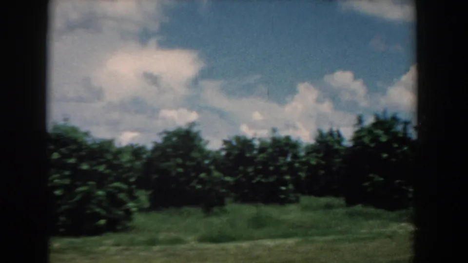 1958 South Carolina 8mm frame with green shrubs, open grass, and scattered white clouds seen from a passing vehicle.