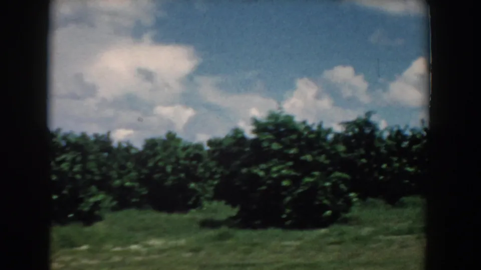 1958 South Carolina 8mm view of green roadside trees, grass, and clouds from a moving vehicle-like perspective.