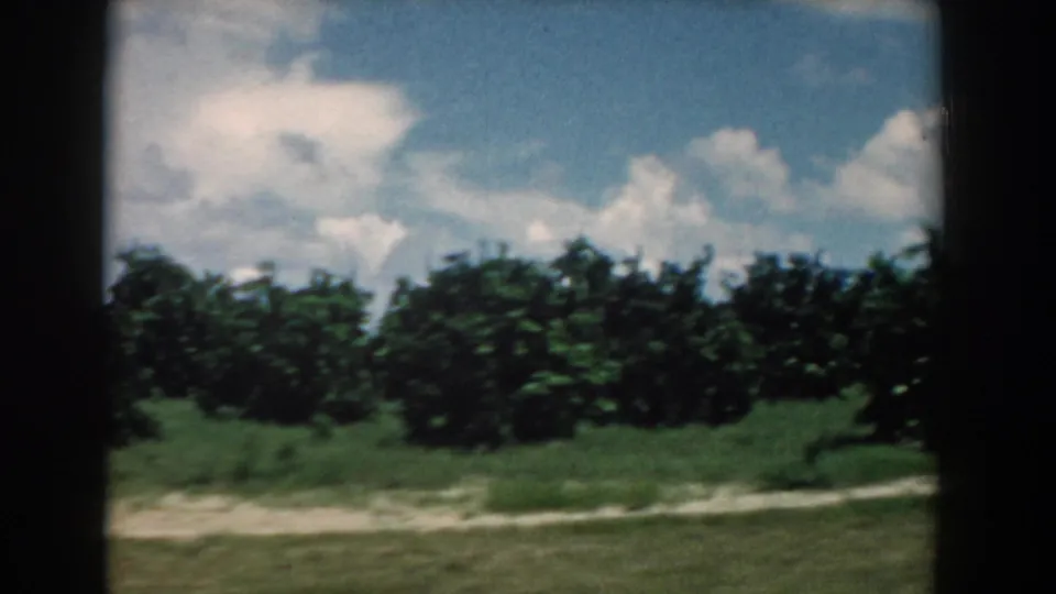 South Carolina home-movie frame showing roadside greenery and a pale ground strip under scattered clouds in 1958 footage.