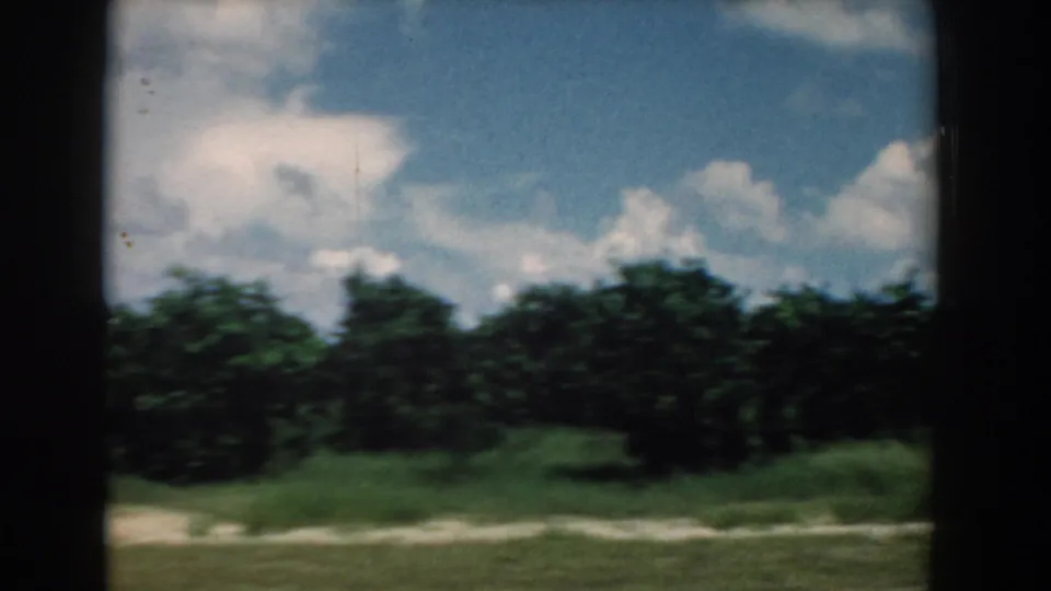 Motion-softened 8mm frame of South Carolina roadside trees and grass during a rural drive in 1958.
