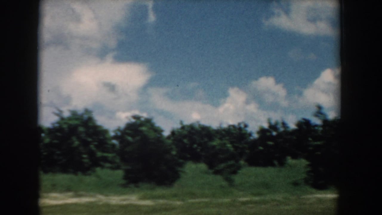 Green roadside field and tree line seen through a dark car window frame.