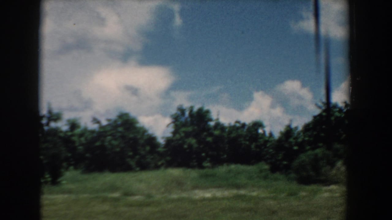 Tree-lined green landscape and clouds framed by a car window.